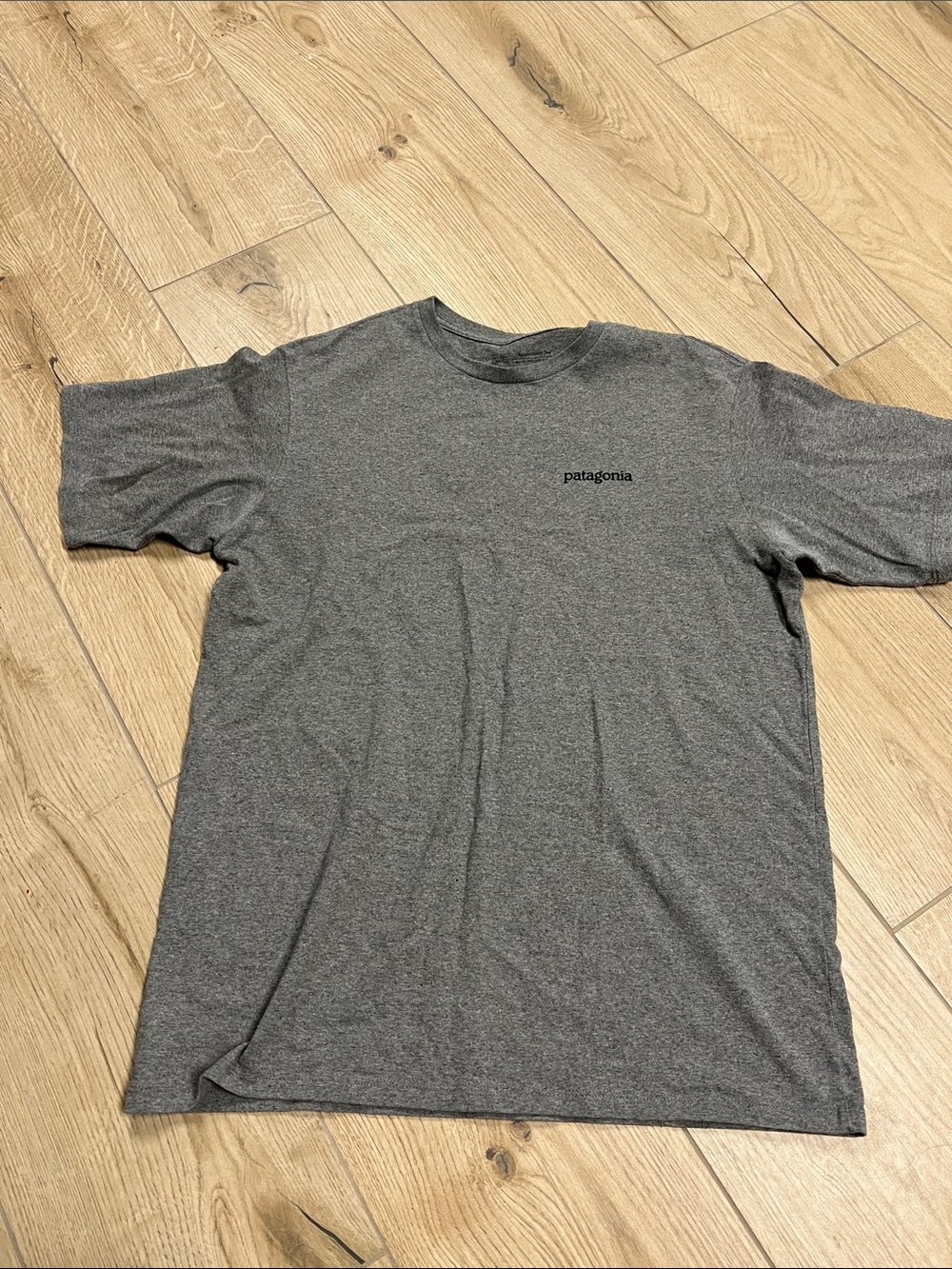 Patagonia Gray Heather Logo T-Shirt